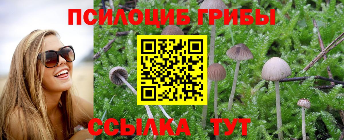 Галлюциногенные грибы мухоморы Калач-на-Дону