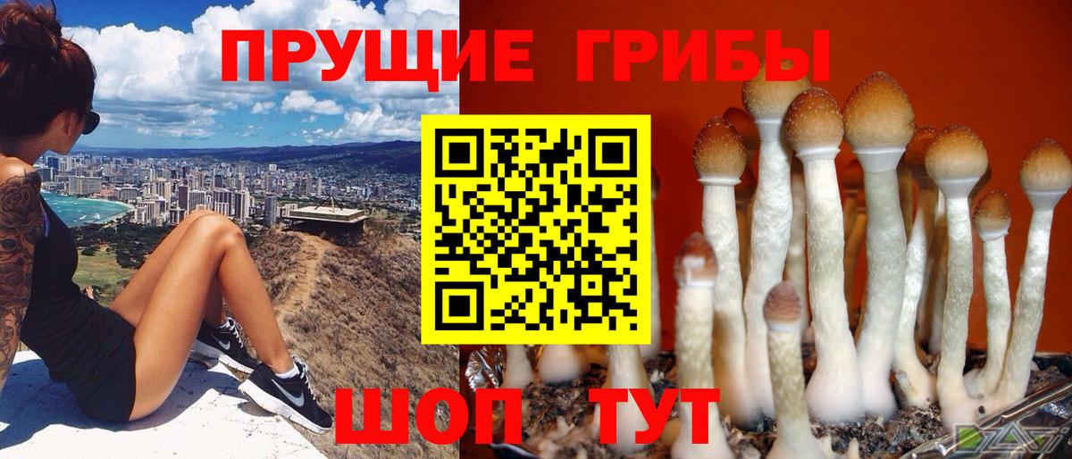 закладка  Галлюциногенные грибы GOLDEN TEACHER  Вход с VPN  Калач-на-Дону 